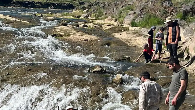 İnci Kefalinin Göçü: Doğa Harikası Gözler Önünde