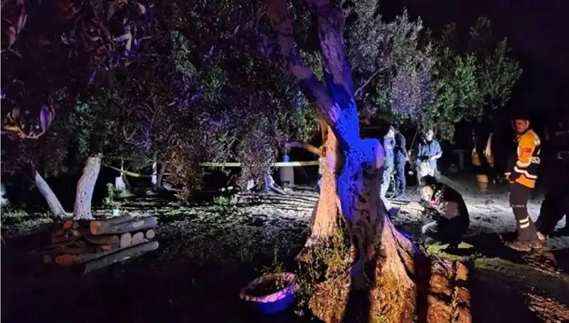 Çiftlikteki Baltalı Vahşet: Şoke Eden Tutuklama