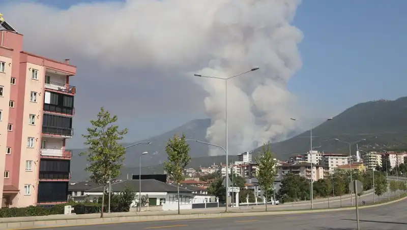 Denizli'de Orman Yangını: Akılalmaz Sebep ve Şüpheli Gözaltında!