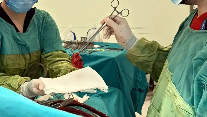 Kalp Kapağı Çürümesi: 7 Saatlik Ameliyatla Hayat Kurtaran Mucizevi Başarı