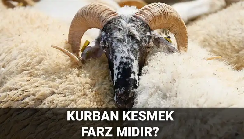 Kurban Kesmek Farz Mı? Diyanet'in Açıklamaları