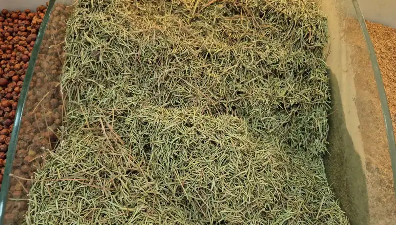 Yaz Aylarında İnternette Satılan Tehlikeli Ürünlerin Artışı ve Sonuçları