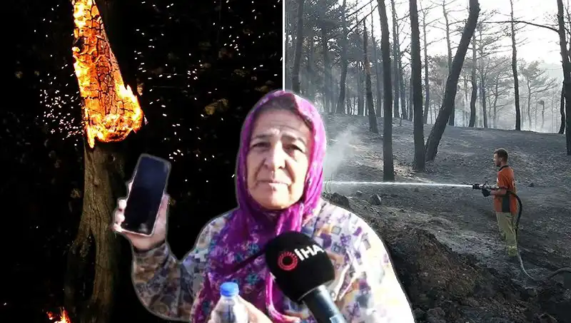 Çanakkale'deki Orman Yangınları Kontrol Altına Alındı, Ama Geride Kalanlar Sarsıyor