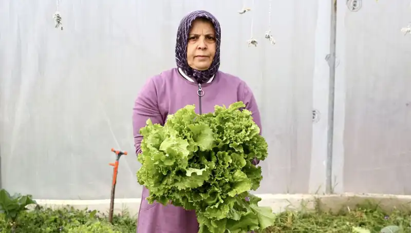 Emekli Olduktan Sonra Dönüş Yaptı: Hayalini Gerçekleştiren Başarı Hikayesi