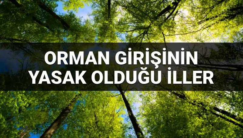 Ormancılığın Geleceği: 2025'te Hangi İllere Ormana Giriş Yasaklandı?