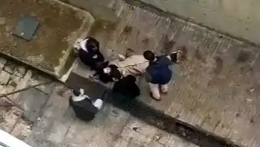 Kampüste Köpek Paniği: Kaçarken 4 Metreden Betona Düşen Öğrenci Yaralandı