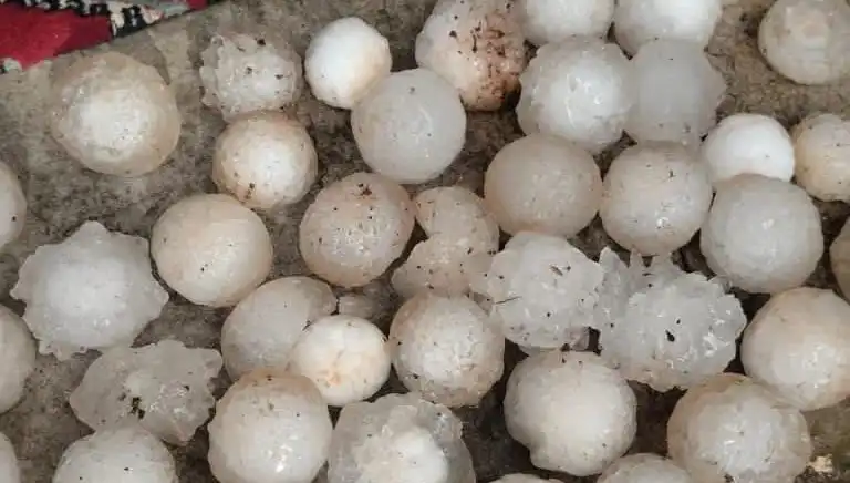 Şanlıurfa'da Kar Topu Büyüklüğünde Dolu, Yaşamı Olumsuz Etkiledi!