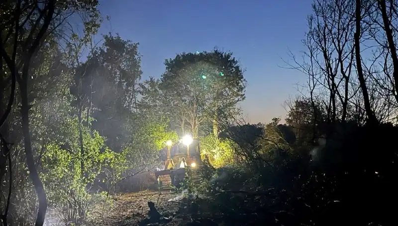 Edirne’deki Orman Yangınında Kahramanlar Göreve Koştu: Yangın Kontrol Altında