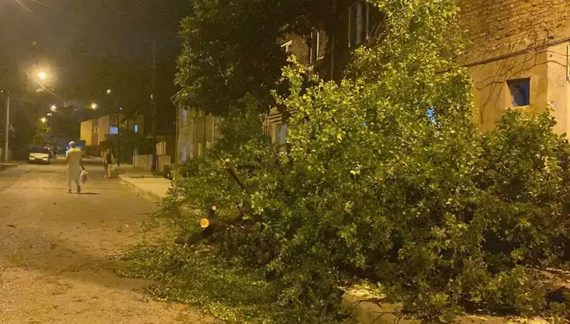 Karabük'te Şiddetli Fırtına: Zarar ve Giderilen Önlemler