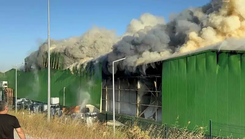 Balıkesir'de Fabrika Yangını: İki İşçi Hayatını Kaybetti, Bir Tutuklama Gerçekleşti