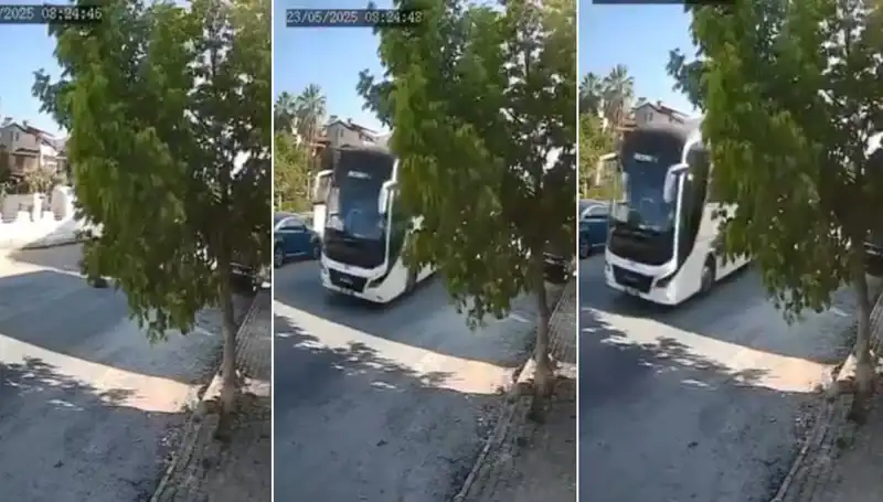 Yolda Yatan Köpeği Ezip Giden Araç, Gerginliği Tırmandırdı!