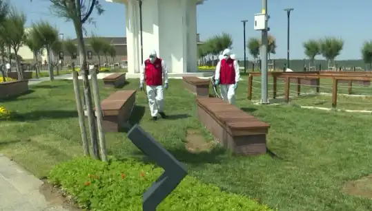 Kene Görülme Sıklığı Artarken, Halka Açık Yerlerde İlaçlama İhtiyacı Gündemde!
