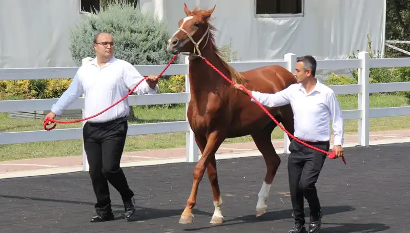 Taşkın Kral, 2023'ün Rekorunu Kırarak Yeni Bir Dönem Açtı