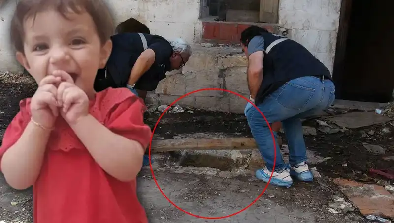 Cesedi Kuyuda Bulunan Aric'in Gizemli Ölümü: Katil Kim?