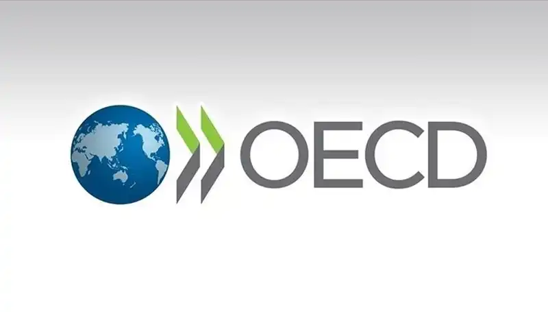 OECD, Türkiye'nin Büyüme Tahminini Yeniden Değerlendirdi: İşte Beklentiler