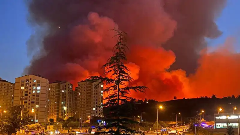 Bursa'da Yangın Alarmı: Şehri Saran Alevler Neden Oluştu?