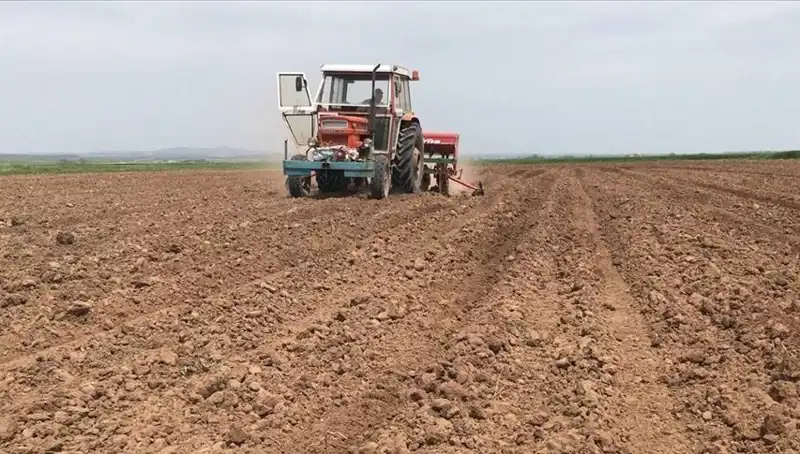 Bu Mart Ayı, Son 35 Yılın En Kurak Dönemini Yaşadı
