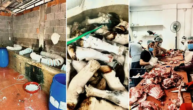 Adana'da Sağlık Skandalı: Yüzlerce Kilo Paça ve Tüyler Ürpertici Görüntüler